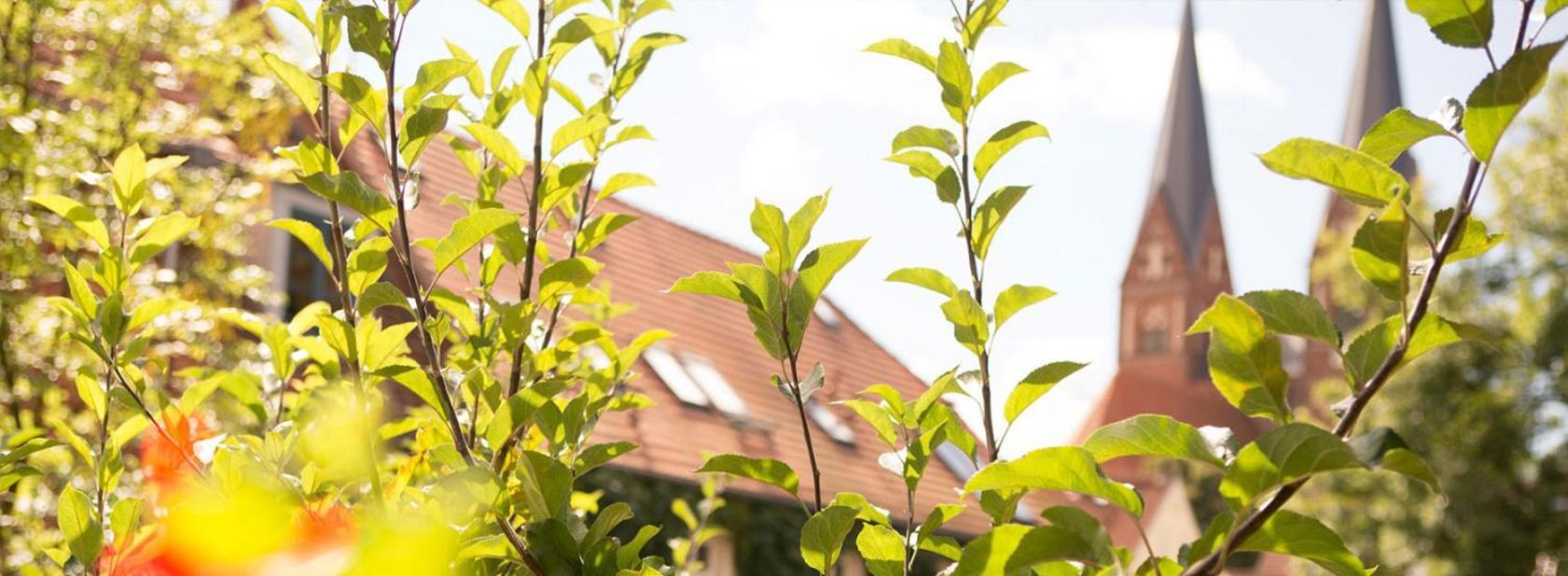 Up Hus Hotel Neuruppin Exterior foto